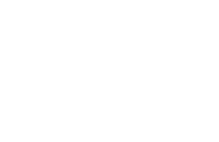 Wish Mindset Logo